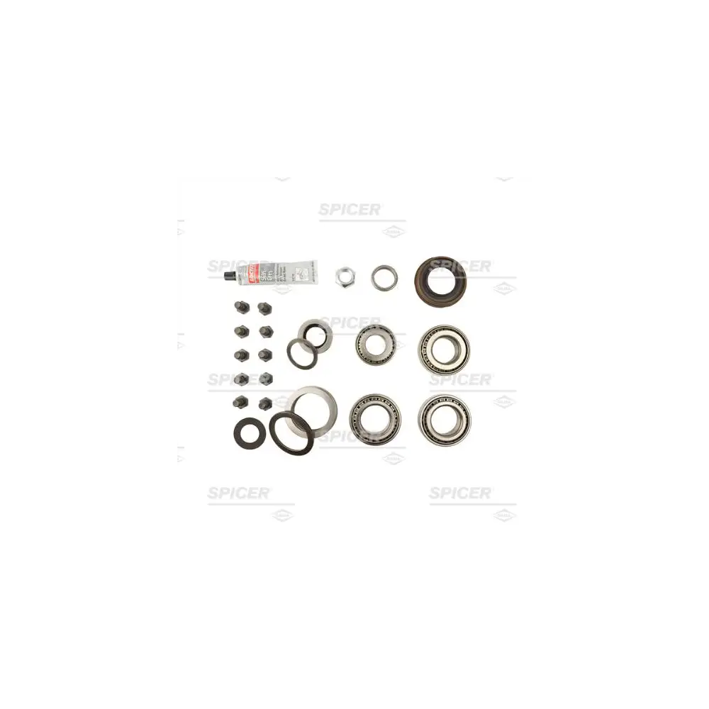 Differential Bearing Overhaul Kit - DSP2017109
